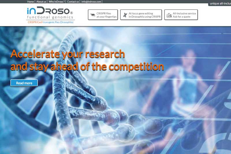 Création site internet "In Droso" - Inspire webdesigner indépendant.